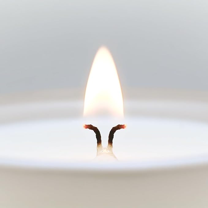 CUE Scented Candle | OpenWick Clean Burning | Soy Coconut Wax Blend | Spring | Summer | Clean Burning | Gift | Extended Burn Time (14oz, Sea Salt Monoi)