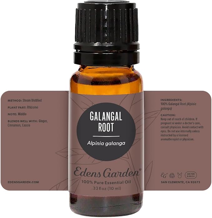 Edens Garden Galangal Root Essential Oil- 100% Pure Premium Grade, Undiluted, Natural, Therapeutic, Aromatherapy, The Best for Diffuser, Candle, Laundry, Humidifiers 10 ml (.33 fl oz)