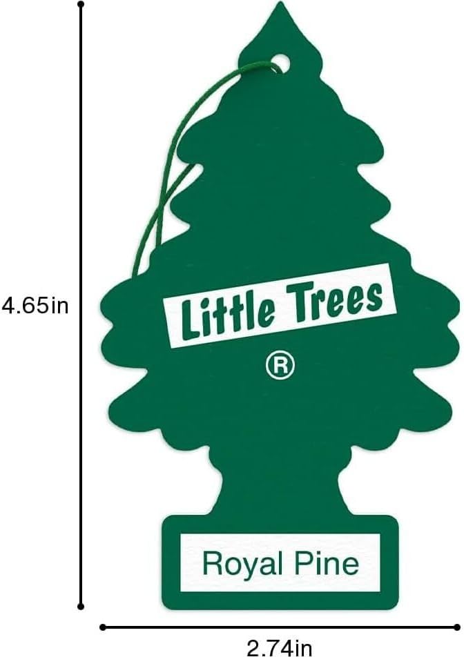 LITTLE TREES Car Air Freshener | Hanging Paper Tree for Home or Car | Royal Pine | 6 Pack
