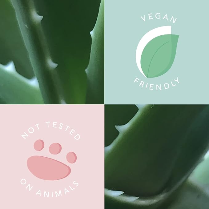Sunday Rain Aloe Vera & Sweet Mint Soy Candle, with Aromatherapy Oils, Up to 40 Hours Burn Time, Refreshing & Calming Fragrance, 265g