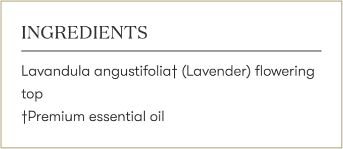 Lavender Essential Oil 5ml by Young Living – Pure Lavender Oil for Aromatherapy, Essential Oil Diffuser, Skin & Relaxation, Essential Oils for Diffuser & Home Use