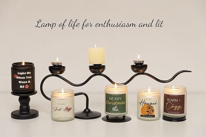 Sandalwood Soy Wax Candle, 7OZ - Gifts for Him, Birthday Gifts for Men, Funny Gift for Men, Novelty Gift for Boyfriend, Husband, Light Me When You Want a B*J