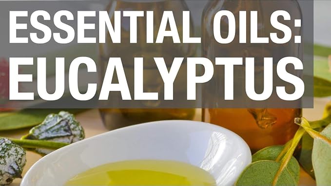 Eucalyptus Oil - 4 oz | Natural Essential Oil for Aromatherapy and Wellness