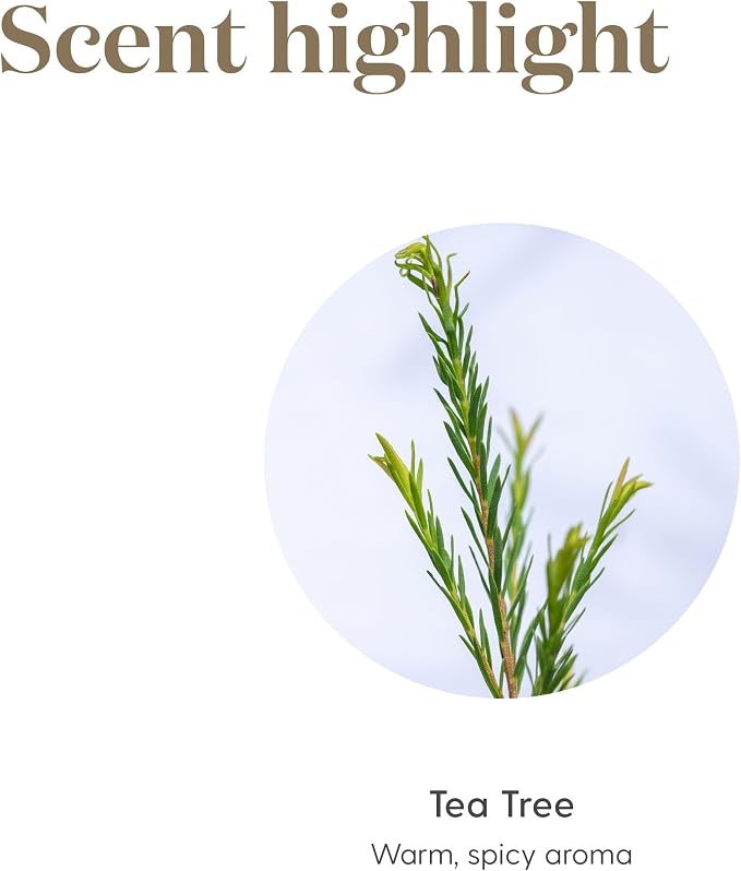 Young Living Tea Tree (Melaleuca Alternifolia) Essential Oil - 5ml - Purify and Revitalize with Nature's Essence - Healthy-Looking Skin and Nails - Healthy Hair and Scalp