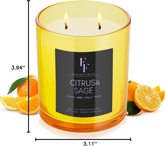 Citrus & Sage Scented Candle, 2-Wick Luxury Soy Wax Candle, 9 oz Aromatherapy Candle Home Fragrance Candles Gift