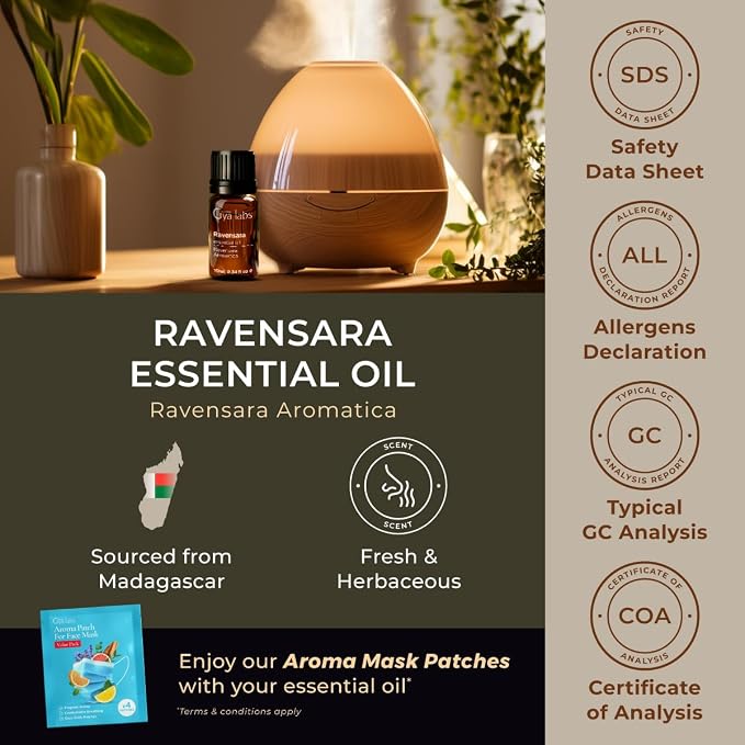 100% Pure Ravensara Essential Oil - 0.34 Fl Oz - Ravensara Oil for Hair, Skin, Diffuser, Aromatherapy & DIY Candle Making Scent