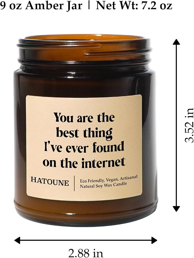 Lavender & Sage Scented Soy Candle, You are The Best Thing I've Ever Found On The Internet, Made in USA, Hand Crafted, 40-50 Hour Burn Time, 7.2 oz Amber Jar