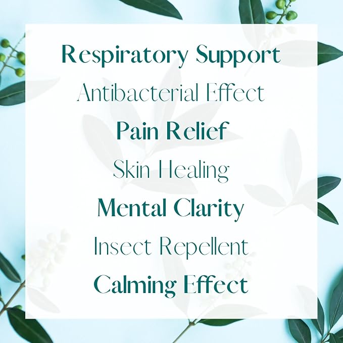 Eucalyptus Essential Oil 1 Oz (30ml) – 100% Pure Natural Eucalyptus Oil for Aromatherapy Diffuser, Skin & Hair Care, Massage, Soap & Candle Making – Premium Grade