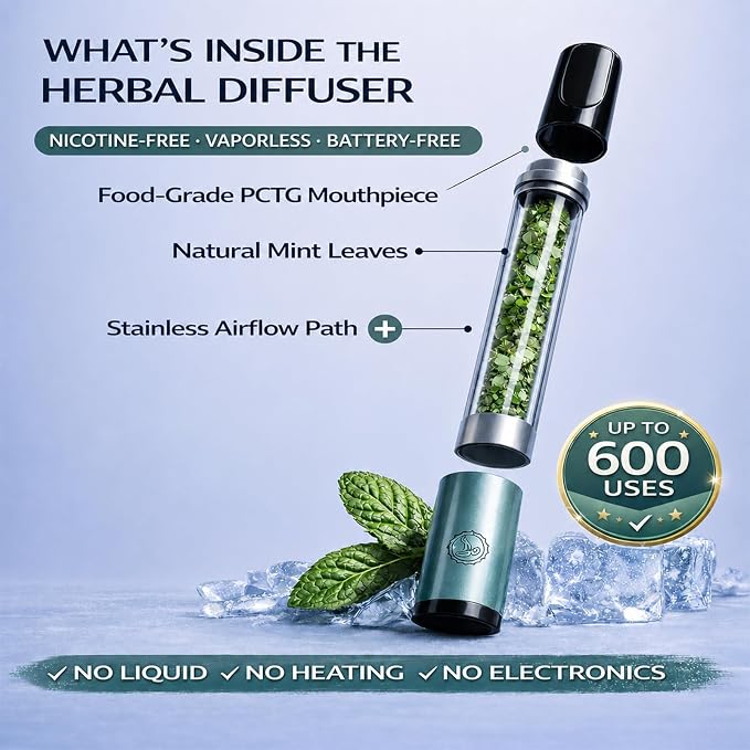 Herbal Diffuser Pen 2 Pack, Natural Mint Aroma Botanical Fragrance Stick, Fresh Scent Stick, Portable Non-Electric Herbal Diffuser for Desk, Travel, Home