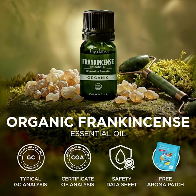 Gya Labs USDA Certified Organic Frankincense Essential Oil - Boswellia Serrata for Skin, Diffuser, Meditation, Aromatherapy, DIY Candle Making Scents - 0.34 Fl Oz