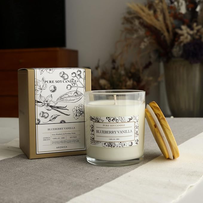Aronica Blueberry Summer Candles for Home, Pet Safe Candles Non Toxic, House Decor Aesthetic, Regalos De Verano para UNA Casa, Labor Day Small Gift, Home Air Freshener for New Home