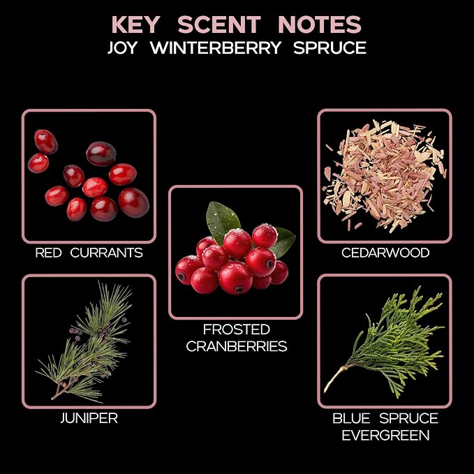 Joy Winterberry Spruce Reed Diffuser Set, Room Fragrance, Spa Scent | Evergreen, crisp berries, and subtle spices profile, bathroom decor, decorative glass bottle, home aroma, entryway