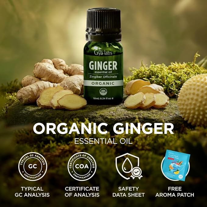 Gya Labs USDA Certified Organic Ginger Essential Oil for Warming Massage, Diffuser - for Topical Use, Hair, Aromatherapy, Spicy & Energizing Aroma - DIY Candle Making Scents - 0.34 Fl Oz