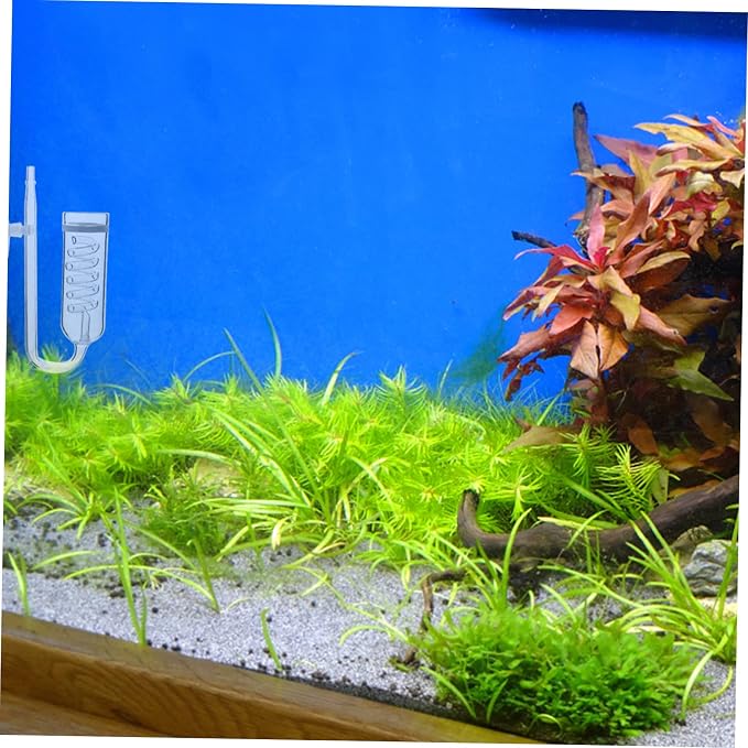 Milisten Transparent Diffuser Device for Aquarium Promotes Aquatic Plant Growth Durable Glass Material Easy to Install Carbon Dioxide Diffusion System for Fish Tank