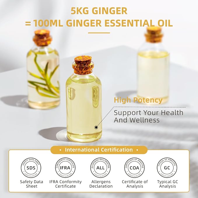 HIQILI 16 Fl Oz Ginger Oil, Ginger Essential Oil for Hair, Massage, Skin - 500ML