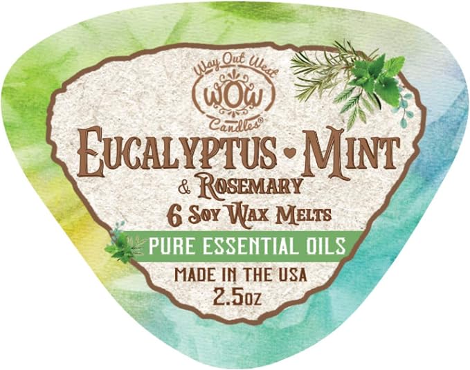 Eucalyptus-Mint Wax Melts – Aromatherapy Essential Oil Wax Melt Cubes for Spa & Refreshing Home Fragrance – Long-Lasting Wax Melt Cubes 4 Pack (24 Cubes) – Made in USA