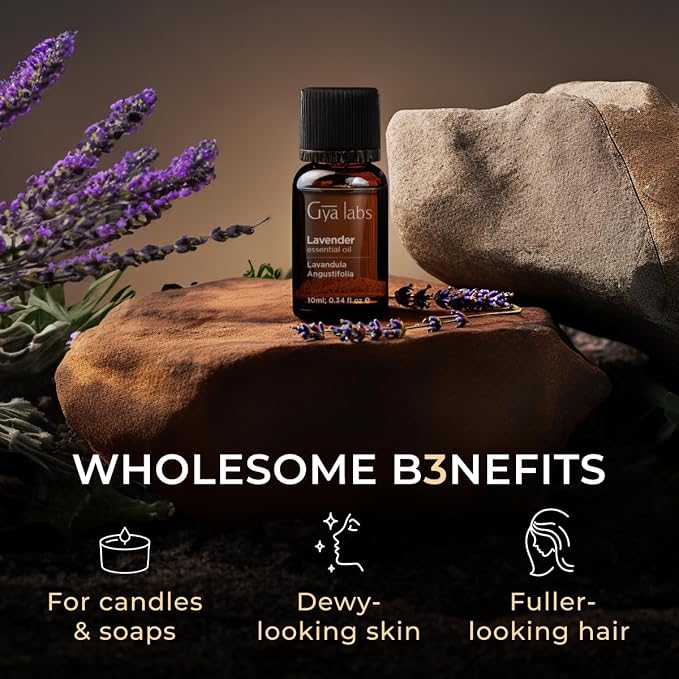 Holy Basil Essential Oil for Diffuser & Lavender Oil Essential Oil for Diffuser Set - Aromatherapy Grade Essential Oils Set - 2x0.34 fl oz - Gya Labs