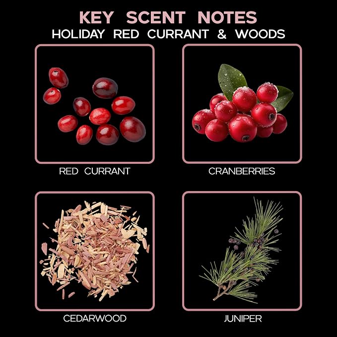 Reed Diffuser Set, Holiday Red Currant & Woods Scented Oil Diffuser with Sticks, Home Fragrance Accessories for Bathroom Shelf Decor, Aroma Diffusers for Home or Office Desk, USA Made