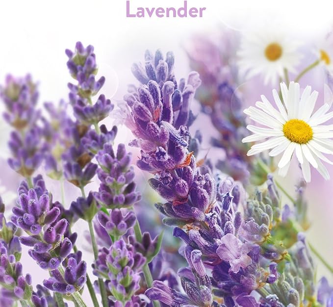 Air Wick Stick Ups Air Freshener, Lavender & Chamomile | 2-Count | Pack of 2