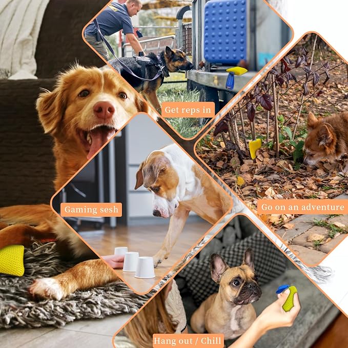 Dog Scent Training Kit with Squeaky Sound – Interactive Nose Work Toys for Dogs, Hide & Seek Scent Games | Mental Stimulation, Anxiety Relief & Obedience Training for All Ages (Yellow)