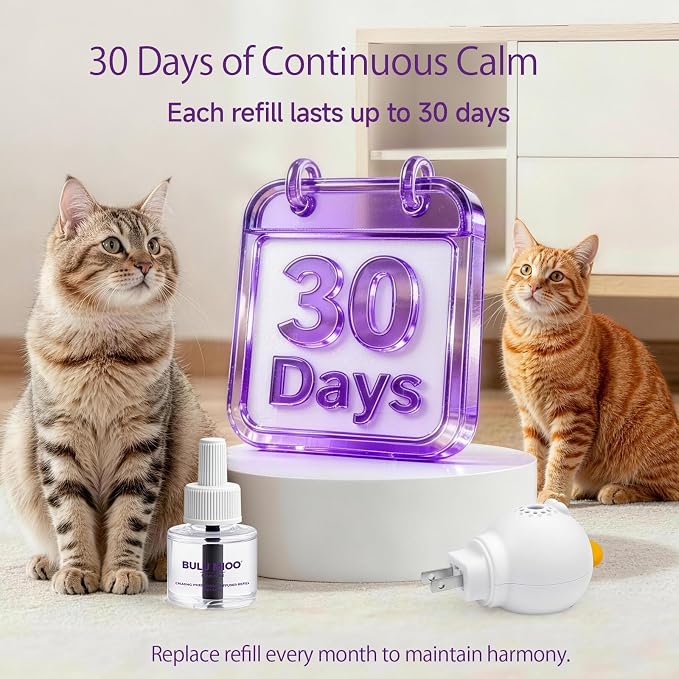 Cat Calming Pheromone Diffuser Set (Dual Zone Coverage) – 2 Diffusers + 2 x 48ml Refills – Helps Reduce Urine Spraying, Scratching & Fighting – Unscented Stress Relief for Multi-Room Homes