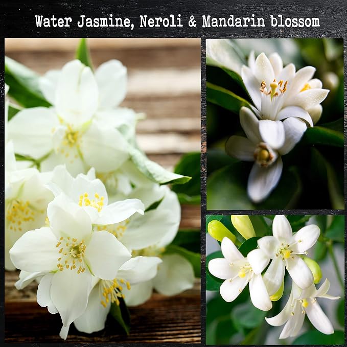 100% Natural Soy Wax Candle by CoCo Benjamin - Highly Scented & Hand-Poured Luxury Candle (Water Jasmine, Neroli & Mandarin Blossom) - Clean Burning Cotton Wick