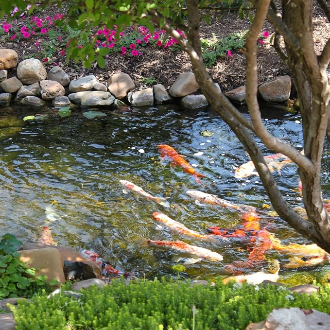 Tuscany Candle Water Garden: Bamboo & Aloe Scented Candle, 14 oz