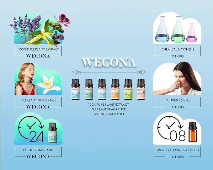 Focus Essential Oil Set – 6x10ml Essential Oils for Diffusers Aromatherapy, Aromatherapy Oil Blends – Huile Essentielle Pour Diffuseur, Fragrance Oils for Candle Making