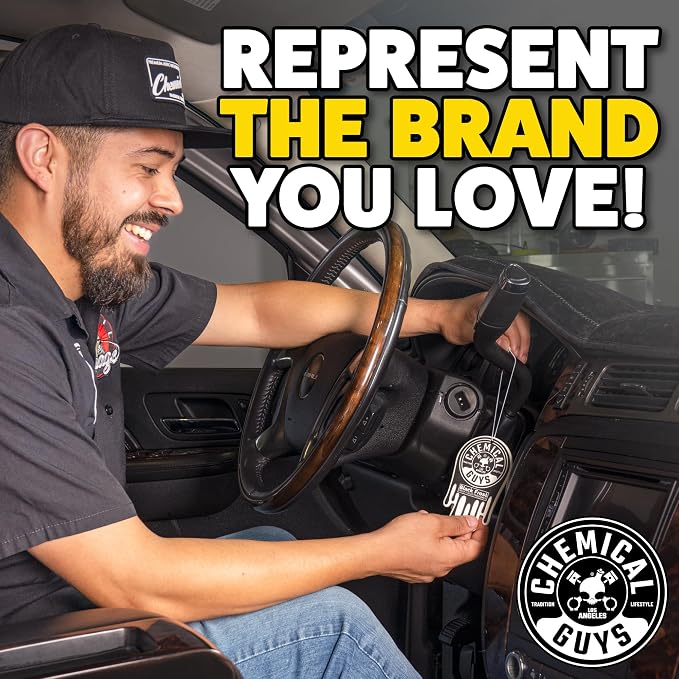 Chemical Guys Car Fresheners, Hanging Air Freshener, Black Frost Scent 12 Pack, Great for Cars, Trucks, SUVs, RVs, Home, Garage, Workspace, Dorm Room & More (4 x 3 Packs)