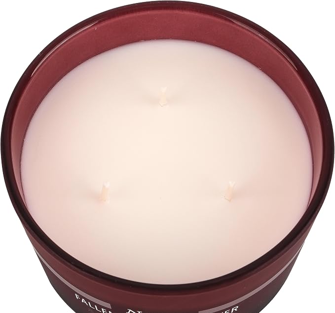 Jar Candle, 15 Ounces (Fallen Rain & Vetiver)