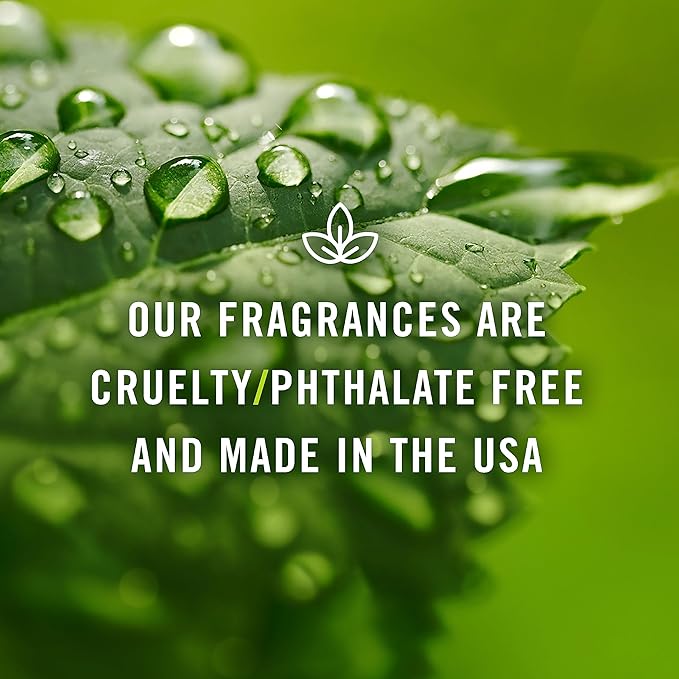 P&J Trading Fragrance Oil | Candy Cane Oil 30ml - Candle Scents for Candle Making, Freshie Scents, Soap Making Supplies, Diffuser Oil Scents