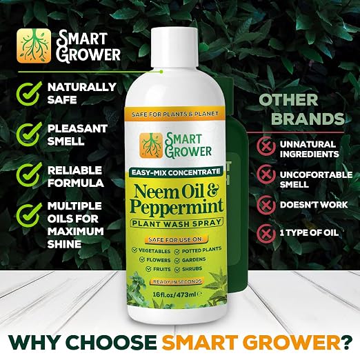Neem Oil Spray for Plants with Peppermint Oil – for Indoor & Outdoor Plants, Gardens, & Houseplants– Best Value Refill 16 oz Concentrate Makes 2 Gallon RTU
