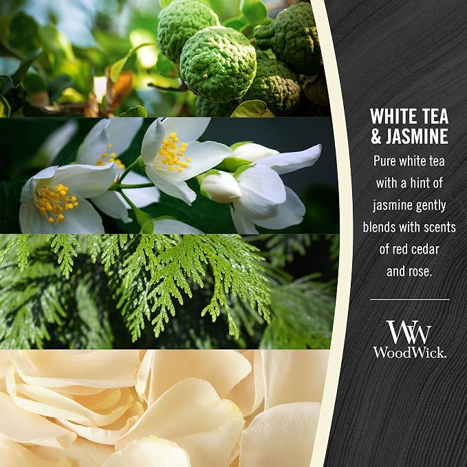 WoodWick White Tea & Jasmine Scented Medium Hourglass Candle, Crackles as it Burns, Great for Gifting, 9.7oz (Pack of 4)