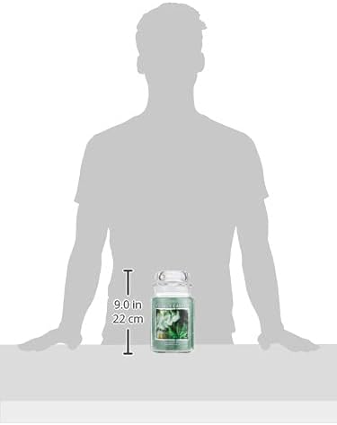Village Candle Eucalyptus Mint Large Glass Apothecary Jar Scented Candle, 21.25 oz, Green