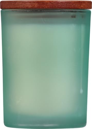 Chesapeake Bay Balance + Harmony Scented Candle Water Lily Pear Fragrance 50 Hours Burn Time Warm & Decorative Soy Wax Blend (Pack of 4)