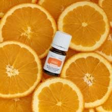 Young Living Orange Vitality Essential Oil 5 ml | Culinary Oil for Flavoring, Beverages & Recipes | Bright Citrus Aroma to Refresh and Enhance Your Meals & Drinks