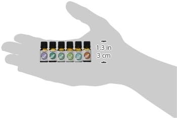 Wild Essentials Top 6 Piece Single Note Essential Oil Set -100% Pure Therapeutic Grade Aromatherapy Kit with Lavender, Eucalyptus, Tea Tree, Orange, Lemongrass, Peppermint - 10ml, Made in The USA