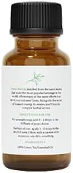 Green Tea Oil by Essential Delights | Premium Aromatic Oil for Diffusers, DIY Projects, Candle Making, Soap Making & Home Fragrance | 1 oz.