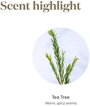 Young Living Tea Tree Essential Oil | 15 ml |Skin & Hair Support | Refreshing Aroma for Diffusion & Topical Use | Enhances Healthy-Looking Skin | Versatile for Wellness & Home Care