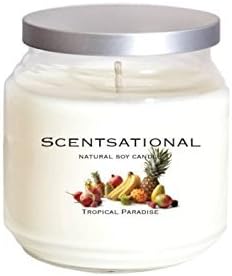 Scentsational Natural Premium Soy "TROPICAL PARADISE" Scented Candle in Jar w/Lid