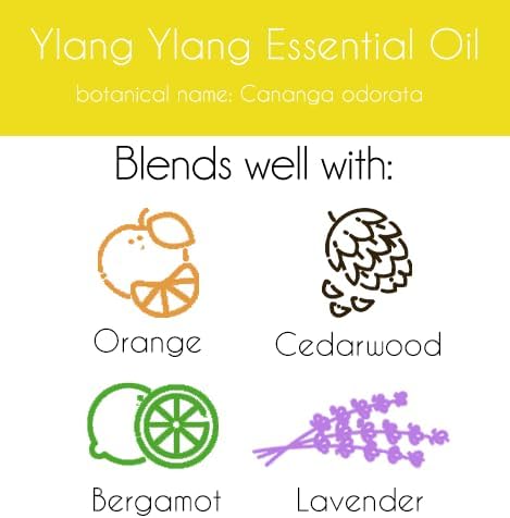 Ylang Ylang Essential Oil – 16 fl oz (473 ml) Aluminum Bottle w/Plug Cap – 100% Pure Essential Oil – GreenHealth