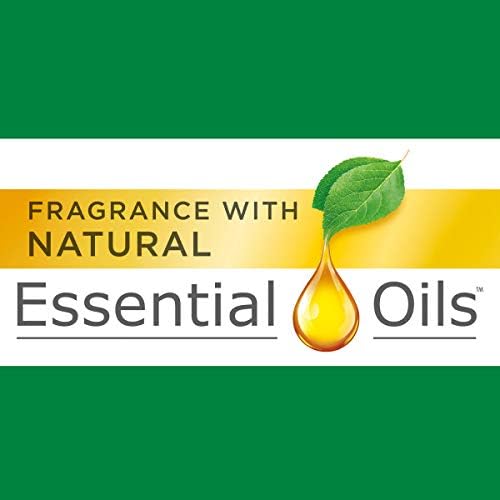 Air Wick Pure Freshmatic Refill Automatic Spray, Lavender & Chamomile, 1ct, Air Freshener, Essential Oil, Odor Neutralization, Packaging May Vary, Clear, 5.89 Ounce (6233877961) (Pack of 2)