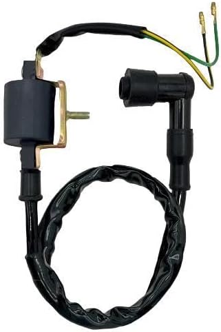 RIVERTON CANDLE & BATH for Ignition Coil 70CC 110CC 125CC ATV COOLSTER ROKETA Baja KAZUMA Meerkat Falcon