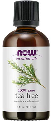 Now Foods - Tea Tree Oil - 8 Ounce (4 OZ X 2)