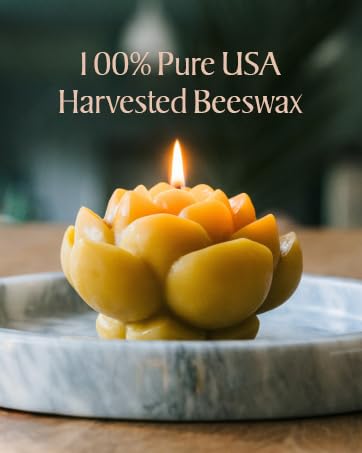 Sunbeam Candles 100% Pure Beeswax Carved Egg | Long Burning 30-Hours| Non-Toxic Beeswax Candles Spring & Easter Basket Decor | Made in USA | Natural Gold