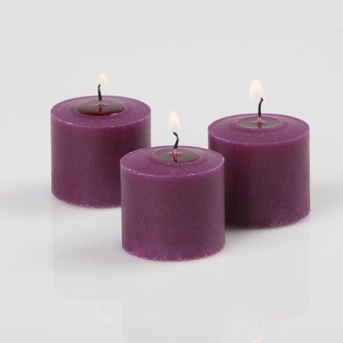 Set of 24 Richland® Votive Candles Purple Unscented