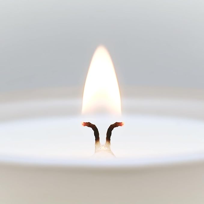 CUE Scented Candle |MoodBoost Essential Oils |OpenWick Clean Burning Candle | Soy Coconut Wax Blend | Candle for Home | Gift |Extended Burn Time (8.5oz, Dewy Aloe and Eucalyptus)