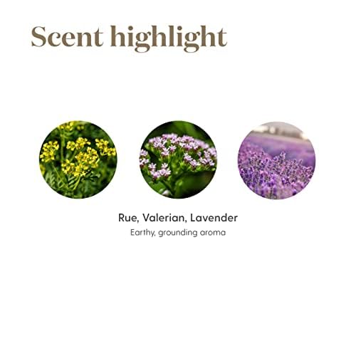 Young Living RutaVaLa Roll-On - Revitalizing and Refreshing Aroma - 10 ml