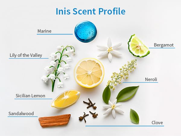 Inis the Energy of the Sea - Scented Candle, Ocean Fresh Soy Wax Blend Candle in Frosted Glass Jar, Clean Coastal Home Fragrance for Bedroom, Living Room and Bathroom