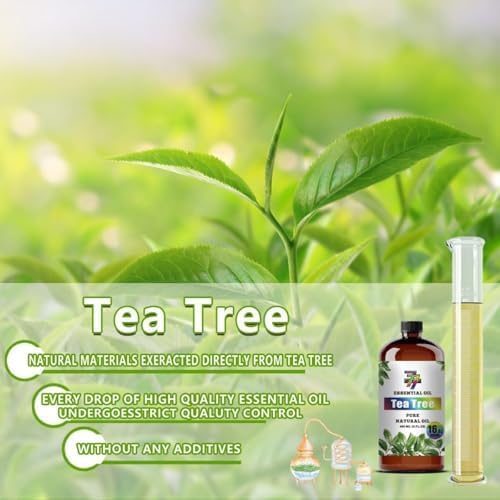 Tea Tree Essential Oil, Tea Tree Oil, for Diffuser, Cleaning, Humidifier, DIY Candles, Soap, Laundry, Home, Yoga, Gift, Essential Oils, GV77ZF Tea Tree Fragrance Oil - 16 fl oz (480 ml)